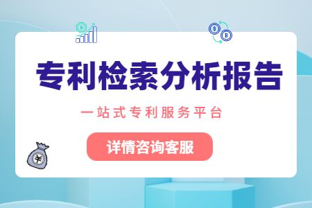 专利检索分析报告