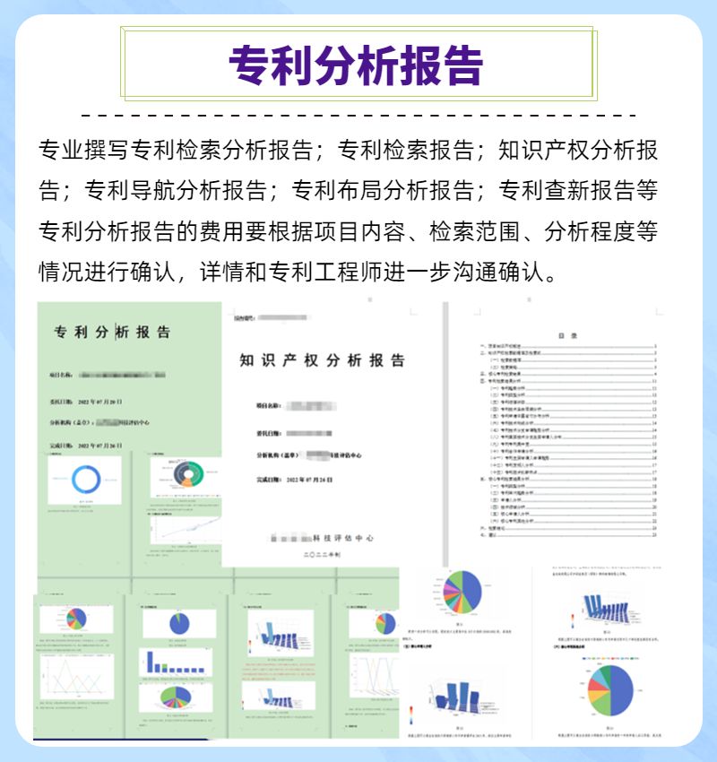 专利检索分析报告