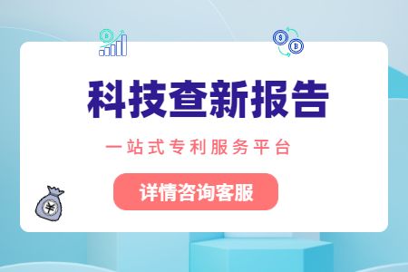 科技查新报告