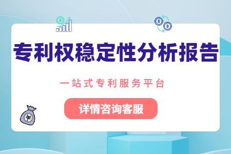 专利权稳定性分析报告