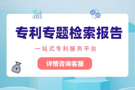 专利专题检索报告