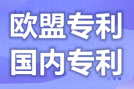 欧盟专利和国内专利