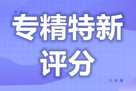 专精特新小巨人增长率评分 国家级专精特新小巨人评定标准(图1)