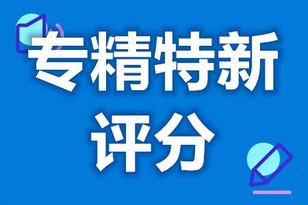 国家级专精特新四项评分指标解读 国家级专精特新小巨人评定标准(图1)
