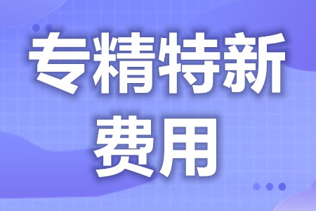 省级专精特新代理公司价目表 代理记账收费价目表(图1)