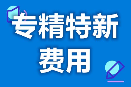 专精特新的申请所需时间 专精特新认证咨询价格审核(图1)