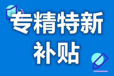 专精特新小巨人认定代办费用 专精特新小巨人认定奖金多少(图1) 专精特新小巨人认定代办费用 专精特新小巨人认定奖金多少(图1)