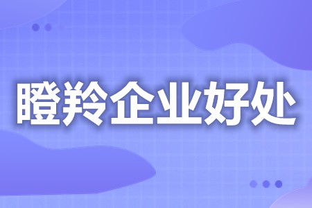 做瞪羚企业的条件是哪些 瞪羚企业财政扶持优惠(图1)