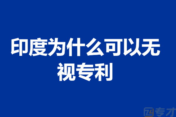 印度实用新型专利申请标准是什么