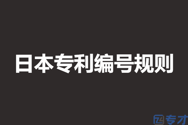 日本专利申请识别号查询