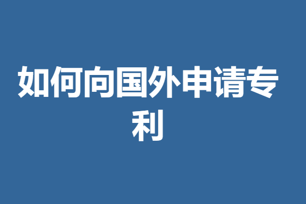 荷兰 外形专利申请要多久时间