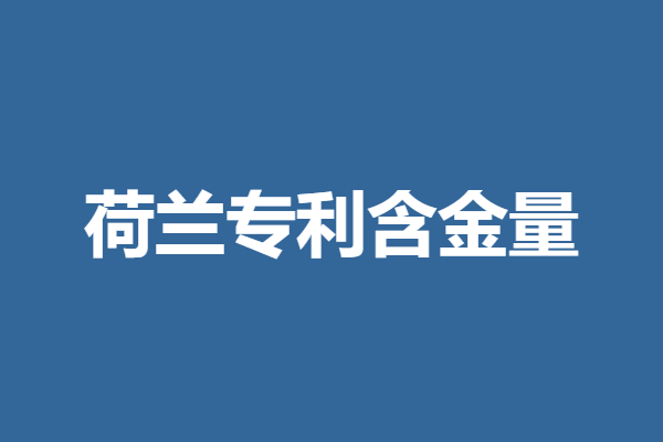 荷兰专利申请流程与时间表