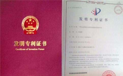 欧洲专利申请加快审查程序是什么,专利加快审查多少钱(图2)