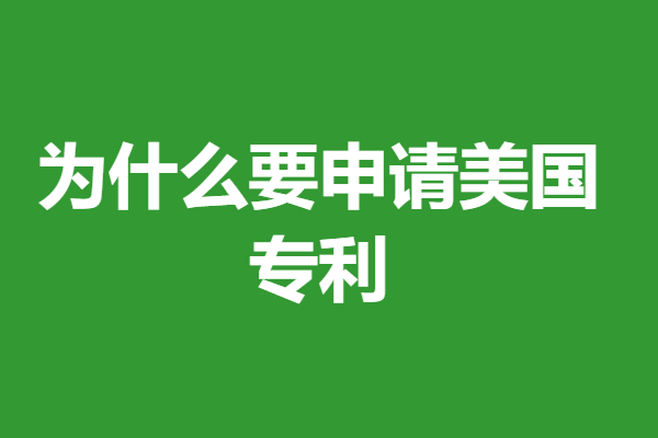 权利要求书美国专利申请