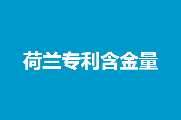 荷兰驳回专利申请时间规定是多久
