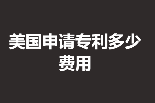 中国专利申请进入美国的条件